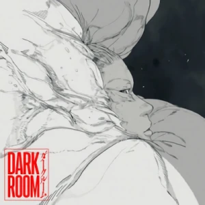 Anime: Darkroom