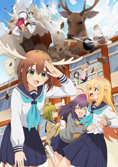 Anime: My Deer Friend Nokotan