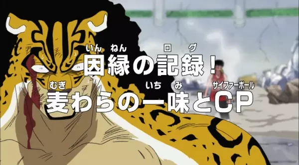 Anime: One Piece: Aufzeichnungen einer Rivalität! – Die Strohhüte und Cipherpol