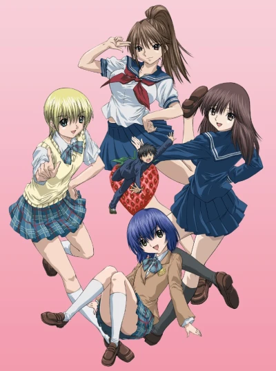 Anime: Strawberry 100%