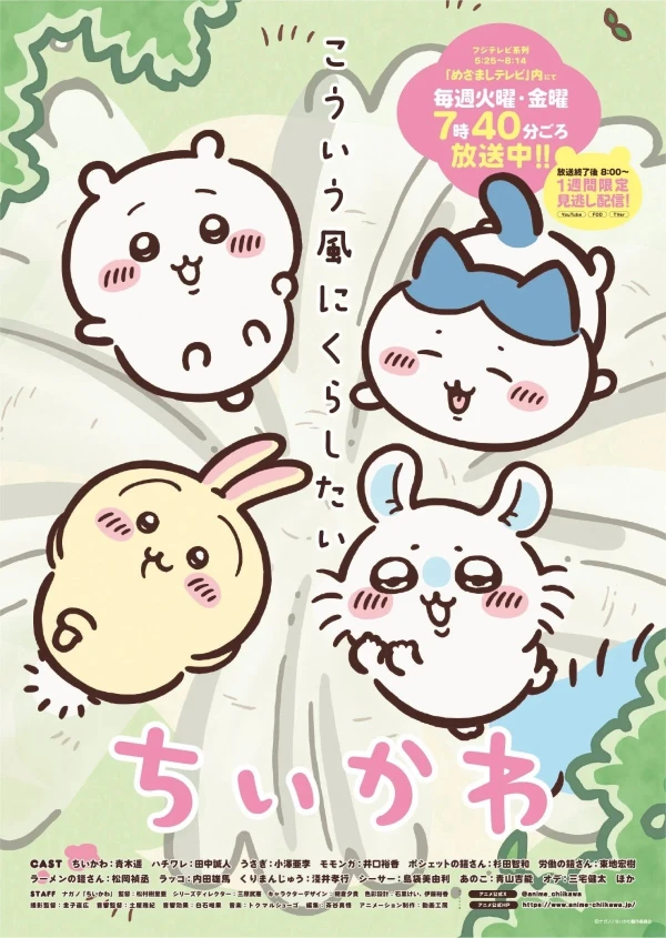 Anime: Chiikawa (2025) Anime: Chiikawa (2025)
