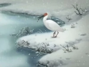 Anime: Toki: Kono Hoshi no Mirai o Mitsumete