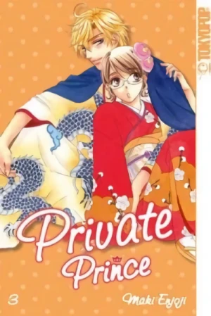 Private Prince - Bd. 03