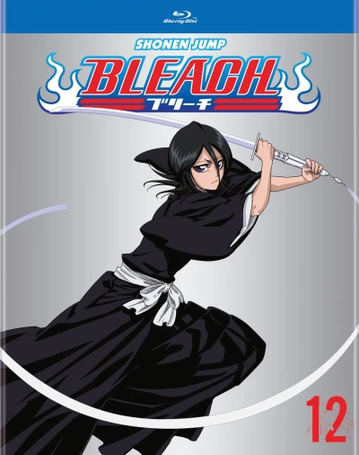 Bleach - Box 12/13 [Blu-ray]