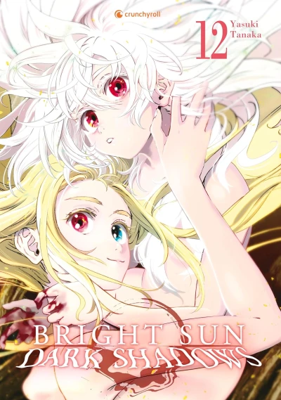 Bright Sun: Dark Shadows - Bd. 12 [eBook]