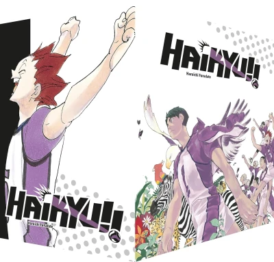 Haikyu!! - Box 4: Bd. 31-40