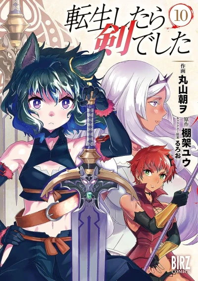 転生したら剣でした - 第10巻