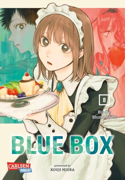 Blue Box - Bd. 08
