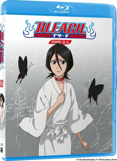 Bleach - Partie 02/13 [Blu-ray]