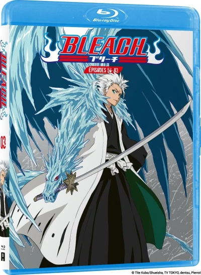 Bleach - Partie 03/13 [Blu-ray]