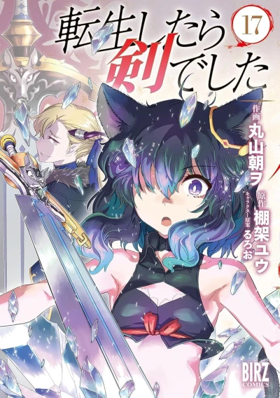転生したら剣でした - 第17巻