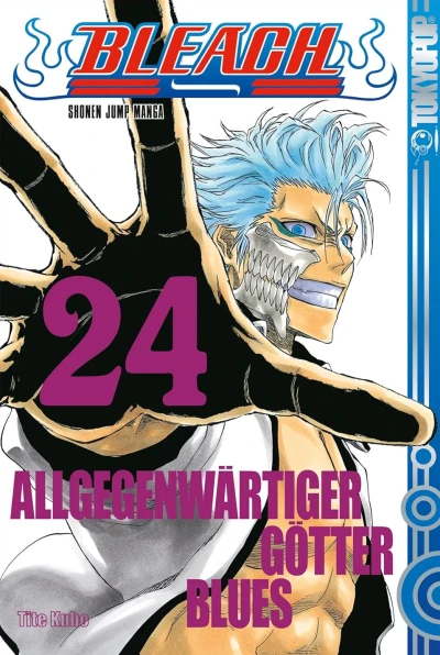 Bleach - Bd. 24