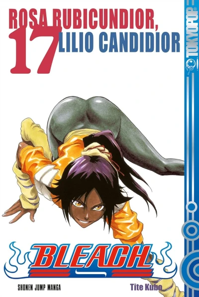 Bleach - Bd. 17