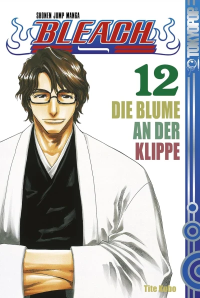 Bleach - Bd. 12