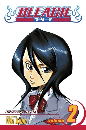 Bleach - Vol. 02