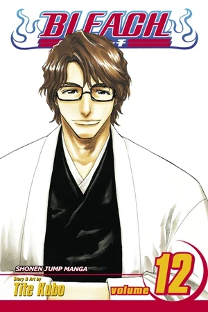 Bleach - Vol. 12