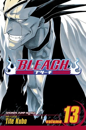 Bleach - Vol. 13