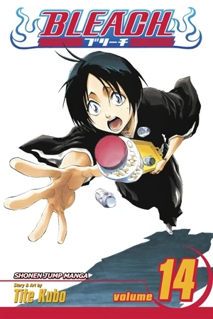 Bleach - Vol. 14