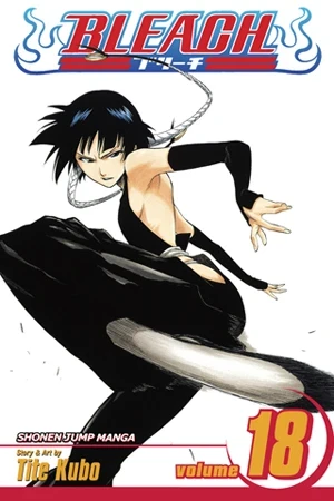 Bleach - Vol. 18