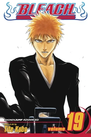 Bleach - Vol. 19