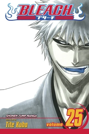Bleach - Vol. 25