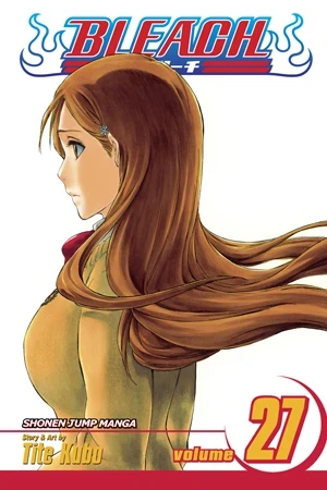 Bleach - Vol. 27