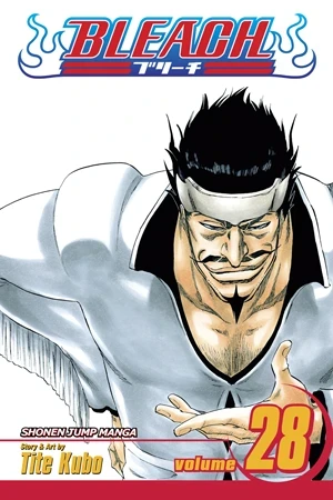 Bleach - Vol. 28