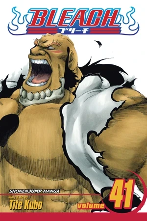 Bleach - Vol. 41