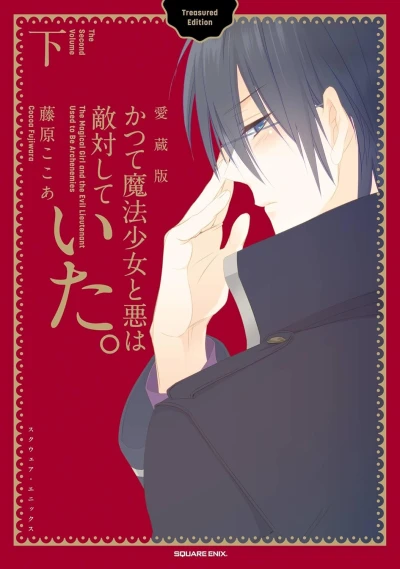 かつて魔法少女と悪は敵対していた。: 愛蔵版 - 第02巻 [eBook]