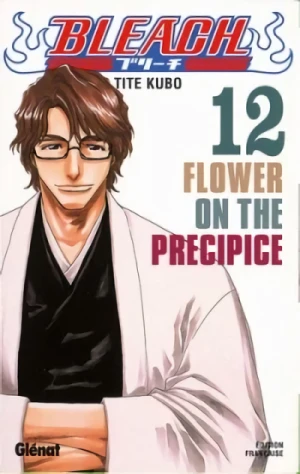 Bleach - T. 12