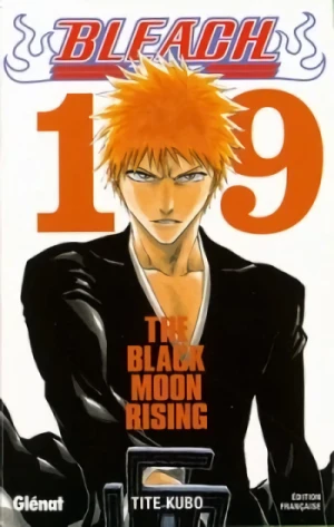 Bleach - T. 19