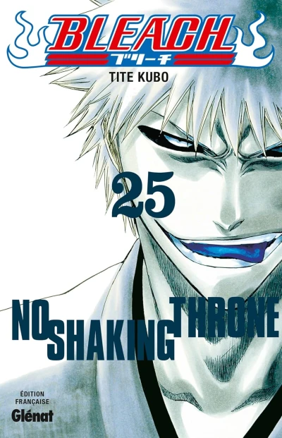 Bleach - T. 25