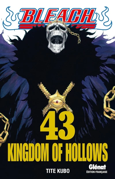 Bleach - T. 43