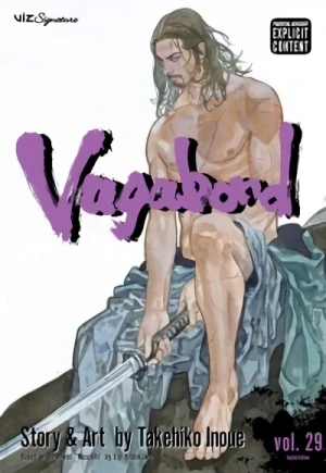 Vagabond - Vol. 29