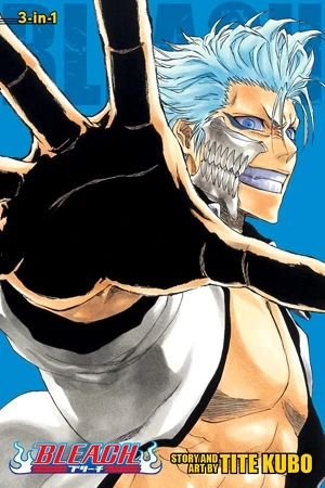 Bleach: Omnibus Edition - Vol. 22-24