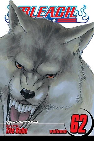 Bleach - Vol. 62
