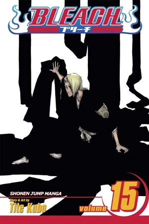 Bleach - Vol. 15 [eBook]