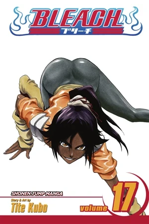 Bleach - Vol. 17 [eBook]