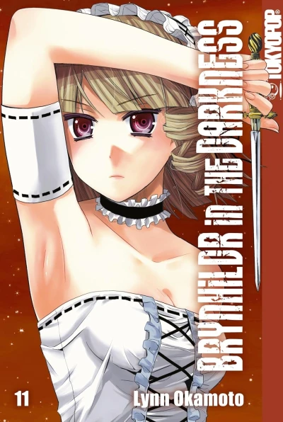 Brynhildr in the Darkness - Bd. 11
