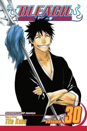 Bleach - Vol. 30 [eBook]