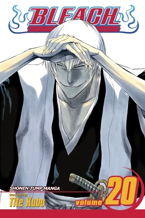 Bleach - Vol. 20 [eBook]