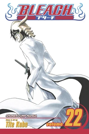 Bleach - Vol. 22 [eBook]
