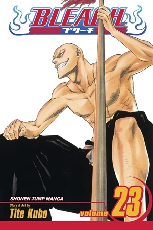 Bleach - Vol. 23 [eBook]