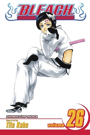 Bleach - Vol. 26 [eBook]