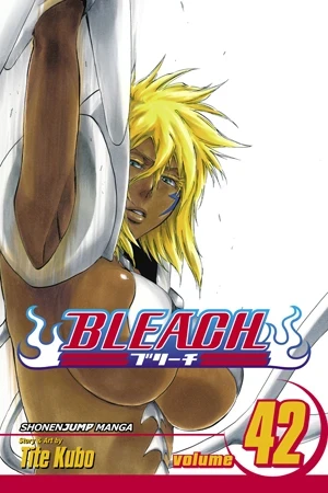 Bleach - Vol. 42 [eBook]