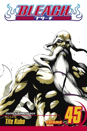 Bleach - Vol. 45 [eBook]