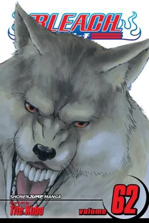 Bleach - Vol. 62 [eBook]