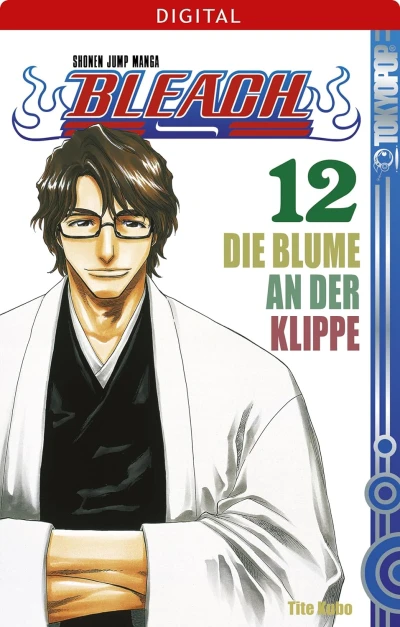 Bleach - Bd. 12 [eBook]
