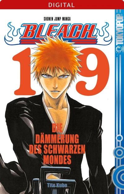 Bleach - Bd. 19 [eBook]