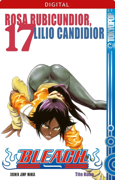 Bleach - Bd. 17 [eBook]